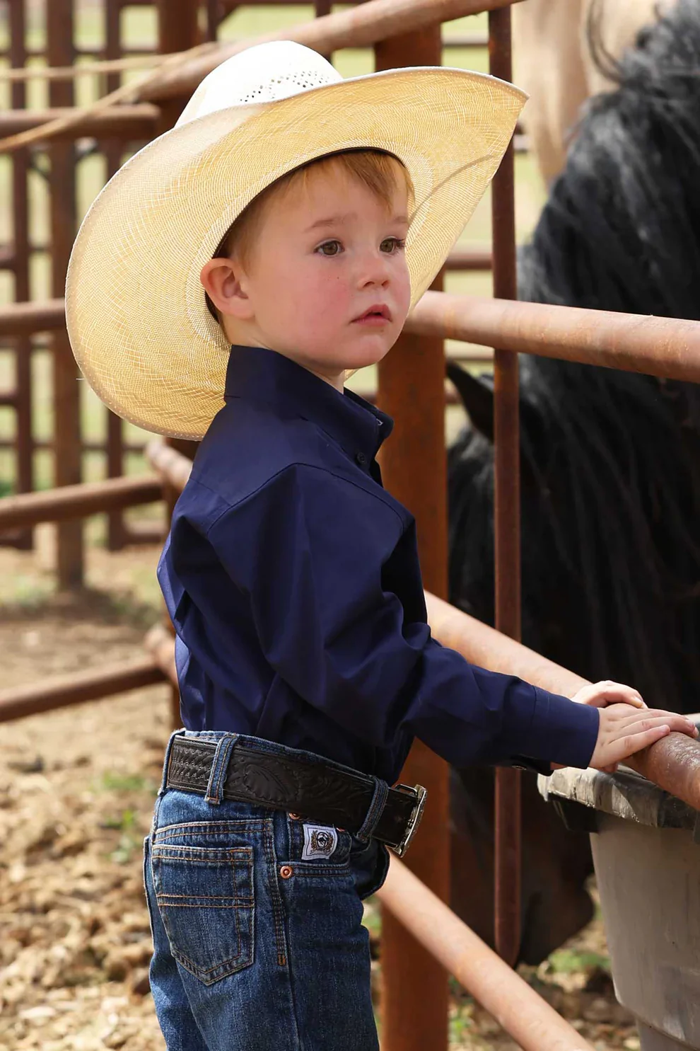 Cinch Infant Boys Royal Blue Button Up-Match Dad