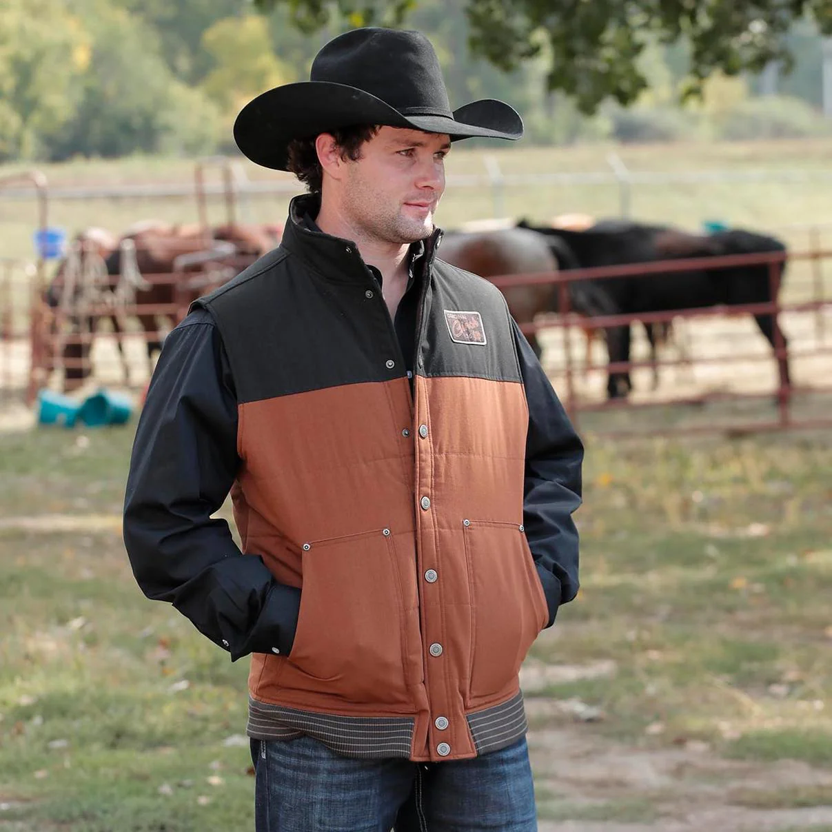 Cinch Men's Reversible Vest Brown