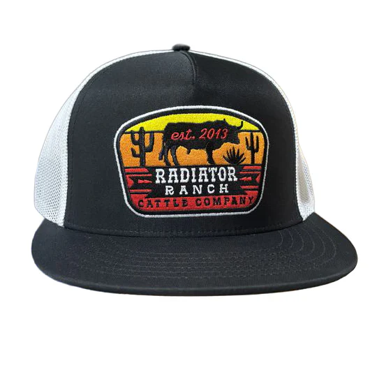 Rodeo Time Sunset Bull Black Meshback