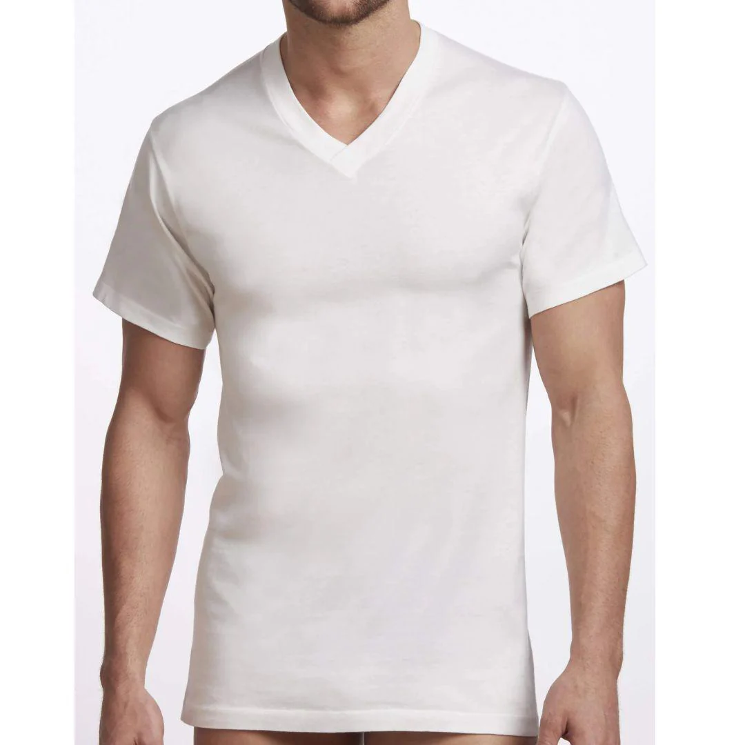 Stanfield's Men's Premium V-neck T-shirts - Image 11